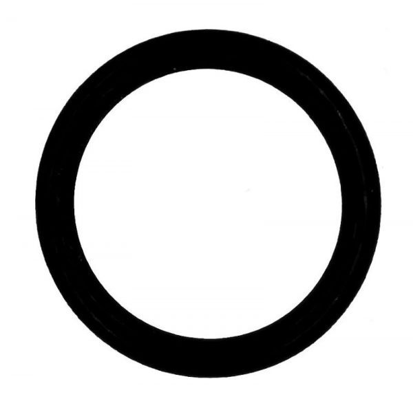 fire hose o ring
