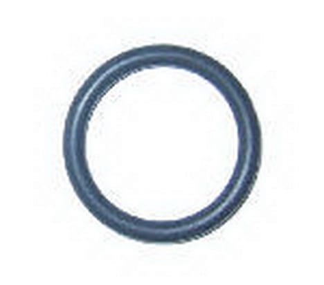 O Ring Neck DCP BFI Eversafe 1kg, 2kg CO2