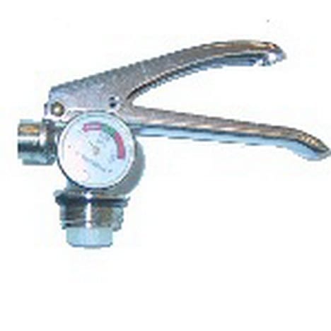 Valve Assy DCP Worm Premium c/w Gauge